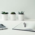 Buying a Company with Flexible Location in Germany: A Comprehensive Guide image_5.jpg